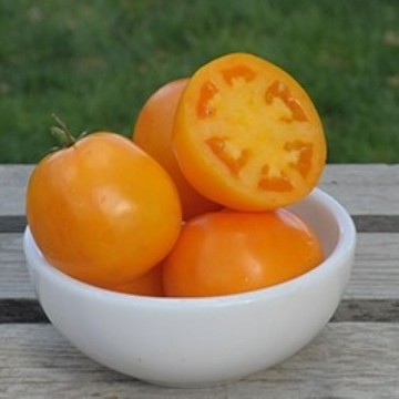 Carolina Gold Tomato Seeds