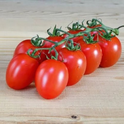 Grapette Tomato