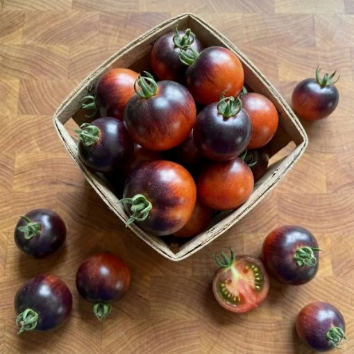Indigo Rose Tomato