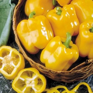 Early Sunsation Pepper Seeds