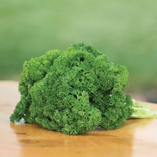 Banquet Parsley