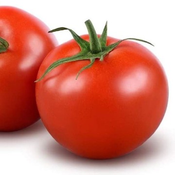 Tomato C | Reimer Seeds