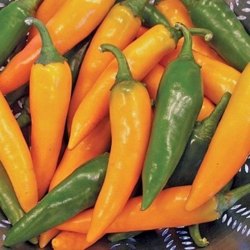 Bulgarian Carrot Pepper Seeds