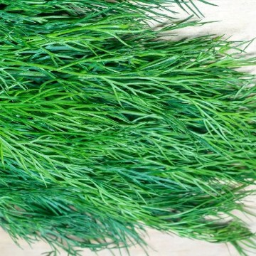 Fernleaf Dill Seeds