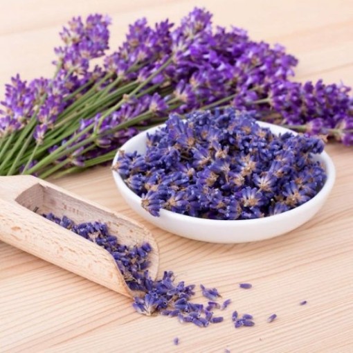 Vera Lavender