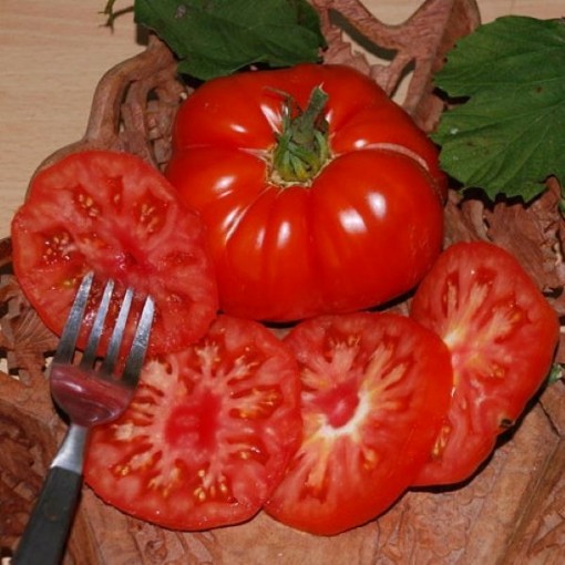 Super Marmande Tomato