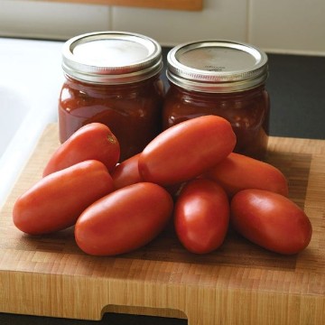 Bellatrix Tomato Seeds