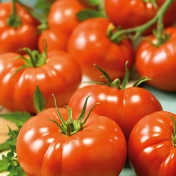 Belle of the Ball Tomato Seeds