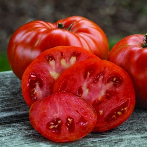 Beefy Red Tomato
