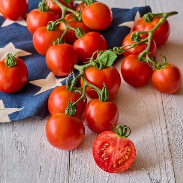 Fourth of July Tomato Seeds