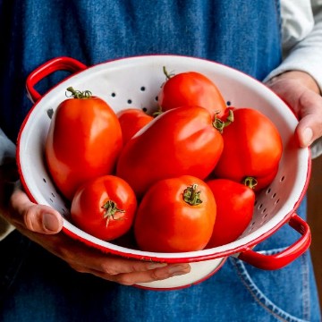 Big Mama Tomato Seeds