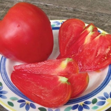 Anna Russian Tomato Seeds