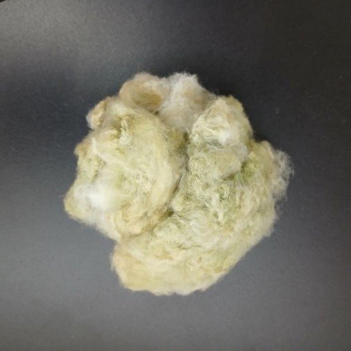 Arkansas Green Lint Cotton