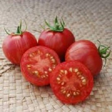 Vernissage Pink Tomato Seeds