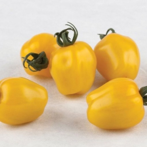Apple Yellow Tomato