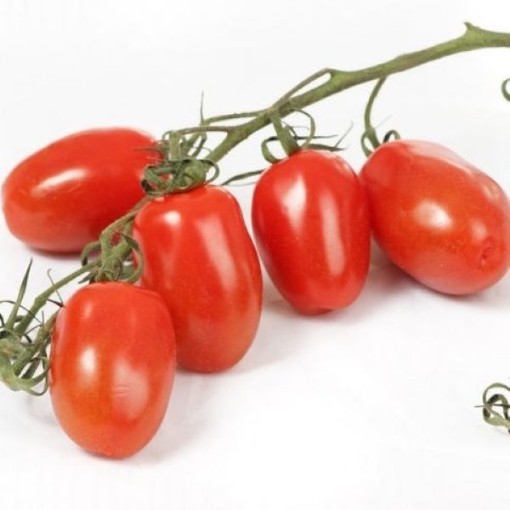 Sprite Tomato