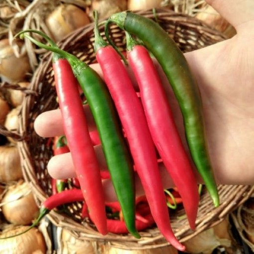 Prik Chi Faa Peppers