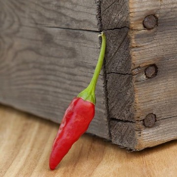 African Pequin Pepper Seeds