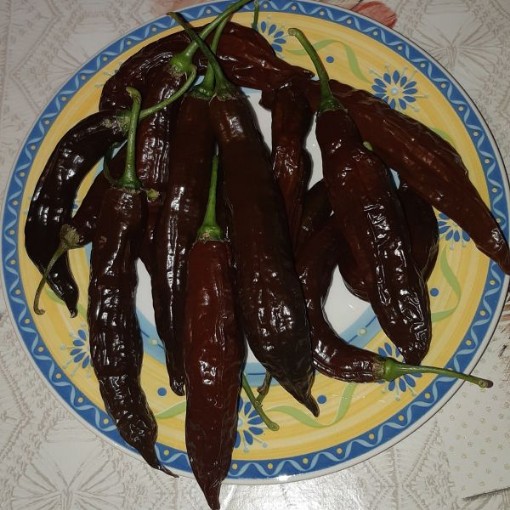 Aji Brown Peppers