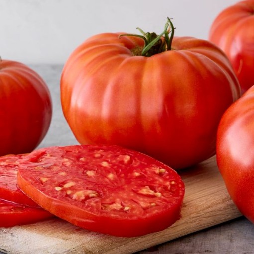Burpee Supersteak Tomato