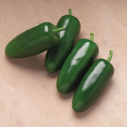 Campeon Peppers