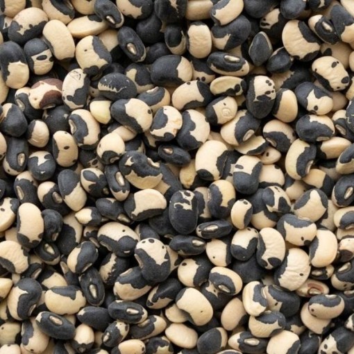 Phenomenal Cowpeas