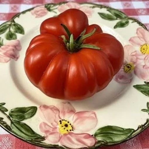 Pantano Romanesco Tomato