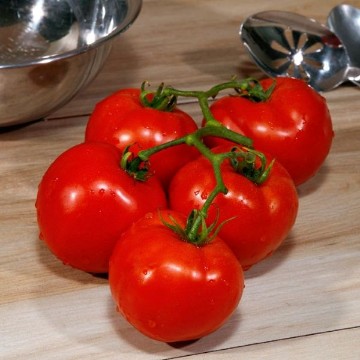 Grand Marshall Tomato Seeds