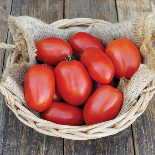 Kuzco Tomato Seeds