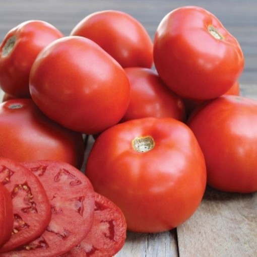 Jamestown Tomato