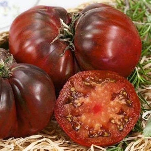 Black Krim Tomato