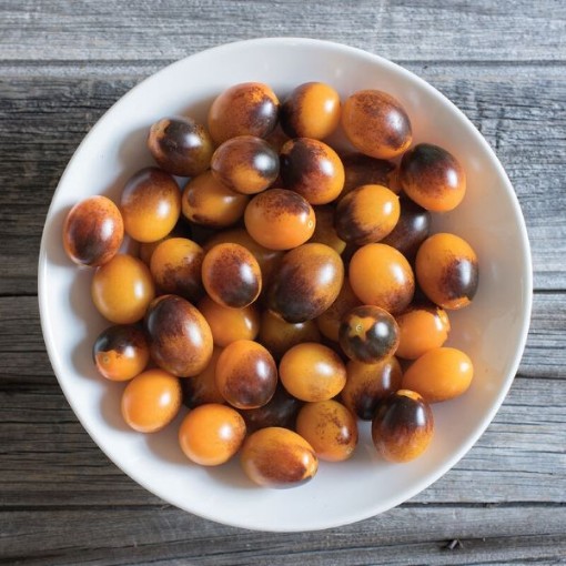Indigo Kumquat Tomato