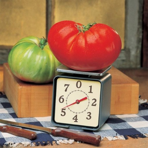 Big Zac Tomato