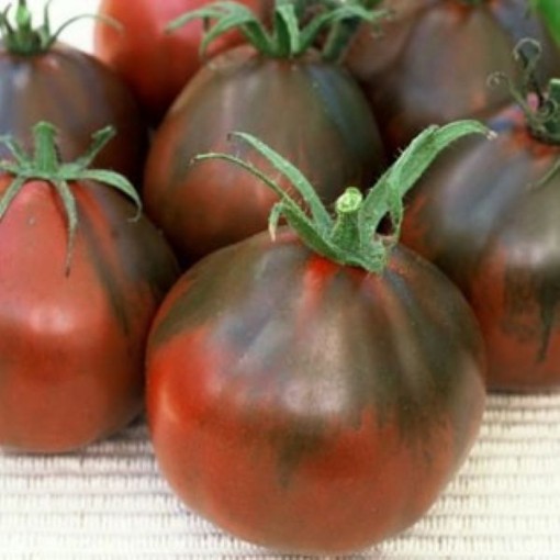 Black Pear Tomato