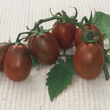 Black Plum Tomato Seeds