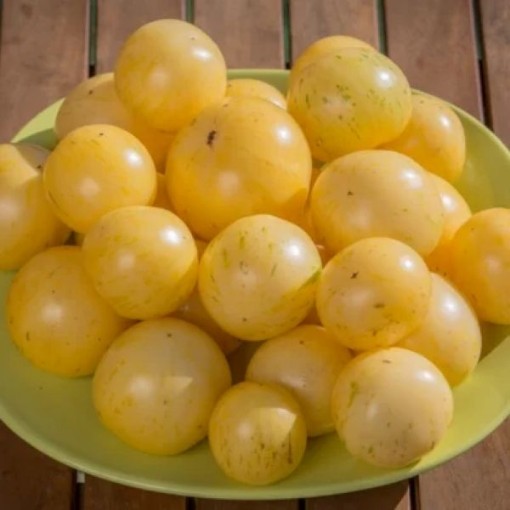 Blonde Boar Tomato