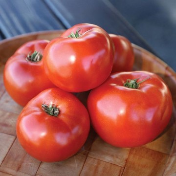Roadster Tomato Seeds
