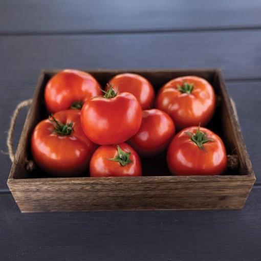 Rambler Tomato