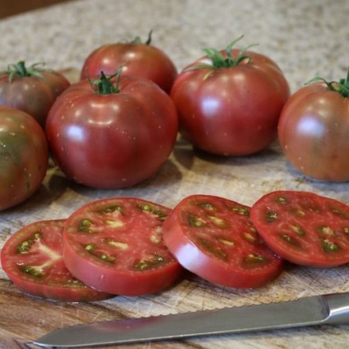 Purple Boy Tomato
