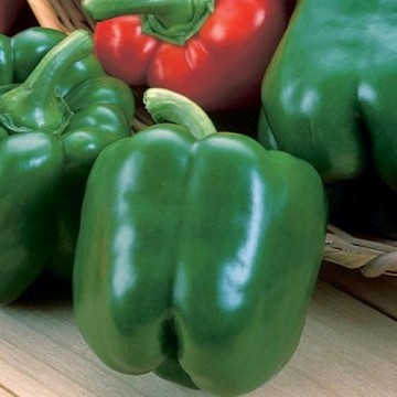 King Arthur Pepper Seeds