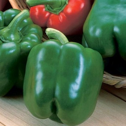 King Arthur Peppers