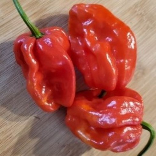 Fatalii Red Peppers