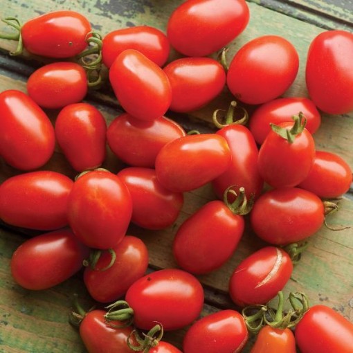 Cherry Roma Tomato Seeds