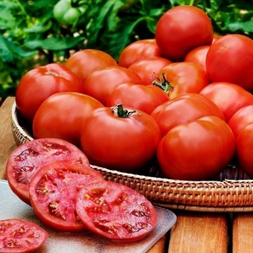 Heinz 1350 Tomato Seeds