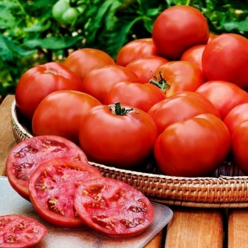 Heinz 1350 Tomato Seeds