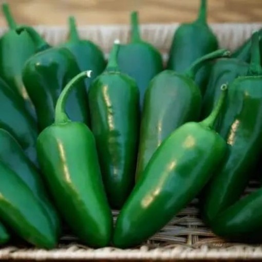 Megatron Pepper Seeds