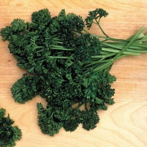 Forest Green Parsley Seeds