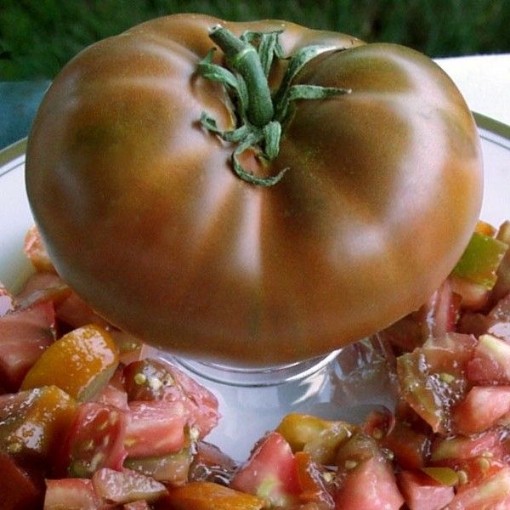 Cherokee Chocolate Tomato Seeds
