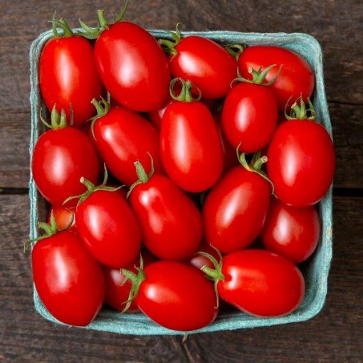 Mountain Vineyard Tomato Seeds