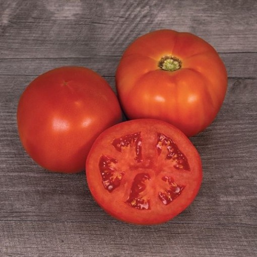 Mountain Man Tomato Seeds